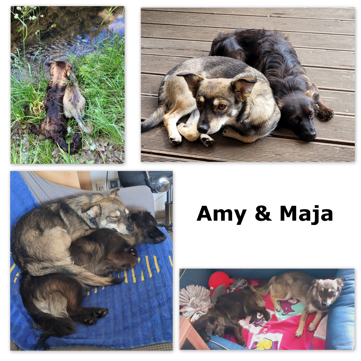 Amy-und-Maja