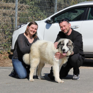 Teddy mit Familie Lindner