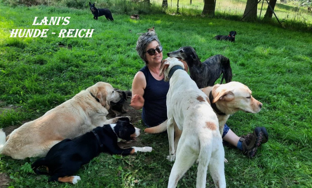 Lani's Hundeschule - seit langer Zeit an unserer Seite