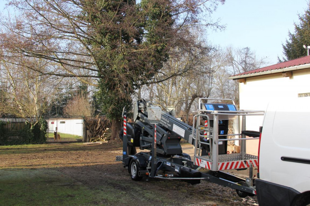 Baumpflegearbeiten