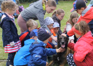 Tierheimfest